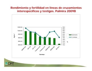 Progress rice breeding_lac