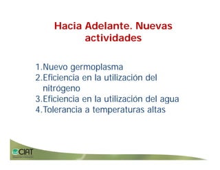 Progress rice breeding_lac