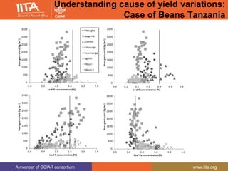 A member of CGIAR consortium www.iita.org
Understanding cause of yield variations:
Case of Beans Tanzania
 