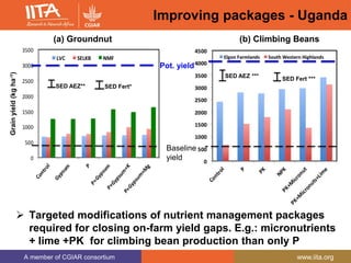 A member of CGIAR consortium www.iita.org
Improving packages - Uganda
 Targeted modifications of nutrient management packages
required for closing on-farm yield gaps. E.g.: micronutrients
+ lime +PK for climbing bean production than only P
Baseline
yield
Grainyield(kgha-1)
Pot. yield
(a) Groundnut (b) Climbing Beans
SED AEZ** SED Fert*
SED AEZ *** SED Fert ***
 