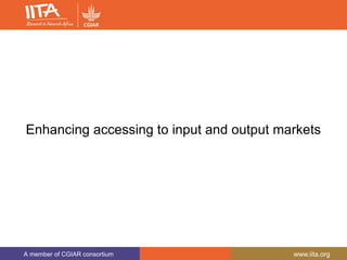 A member of CGIAR consortium www.iita.org
Enhancing accessing to input and output markets
 