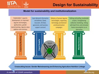 A member of CGIAR consortium www.iita.org
Design for Sustainability
Crosscutting Issues: Gender Mainstreaming and Enhancing Agriculture Nutrition Linkage
 
