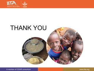 A member of CGIAR consortium www.iita.org
THANK YOU
 
