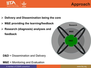 A member of CGIAR consortium www.iita.org
Approach
 Delivery and Dissemination being the core
 M&E providing the learning/feedback
 Research (diagnosis) analyses and
feedback
D&D = Dissemination and Delivery
M&E = Monitoring and Evaluation
M&E
D&D
Research
 