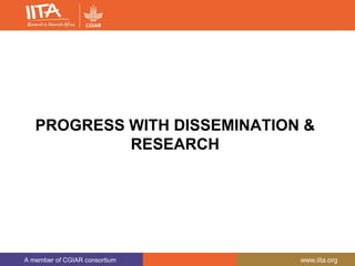 A member of CGIAR consortium www.iita.org
PROGRESS WITH DISSEMINATION &
RESEARCH
 