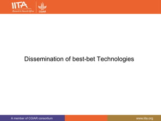 A member of CGIAR consortium www.iita.org
Dissemination of best-bet Technologies
 