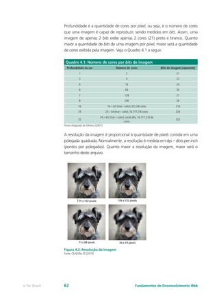 Profundidade é a quantidade de cores por pixel, ou seja, é o número de cores
que uma imagem é capaz de reproduzir, sendo medidas em bits. Assim, uma
imagem de apenas 2 bits exibe apenas 2 cores (21) preto e branco. Quanto
maior a quantidade de bits de uma imagem por pixel, maior será a quantidade
de cores exibida pela imagem. Veja o Quadro 4.1 a seguir.
Quadro 4.1: Número de cores por bits de imagem
Profundidade da cor Número de cores Bits de imagem (expoente)
1 2 21
2 4 22
4 16 24
6 64 26
7 128 27
8 256 28
16 16 – bit (true– color), 65.536 cores 216
24 24 – bit (true – color), 16.777.216 cores 224
32
24 – bit (true – color), canal alfa, 16.777.216 de
cores
232
Fonte:Adaptada de Oliviero (2001)
A resolução da imagem é proporcional à quantidade de pixels contida em uma
polegada quadrada. Normalmente, a resolução é medida em dpi – dots per inch
(pontos por polegadas). Quanto maior a resolução da imagem, maior será o
tamanho deste arquivo.
Figura 4.2: Resolução da imagem
Fonte: CEAD/Ifes © (2010)
Fundamentos do Desenvolvimento Webe-Tec Brasil 62
 