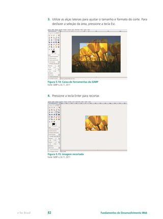 3.	 Utilize as alças laterais para ajustar o tamanho e formato do corte. Para
desfazer a seleção da área, pressione a tecla Esc.
Figura 5.14: Caixa de ferramentas do GIMP
Fonte: GIMP v.2.6.11, 2011
4.	 Pressione a tecla Enter para recortar.
Figura 5.15: Imagem recortada
Fonte: GIMP v.2.6.11, 2011
Fundamentos do Desenvolvimento Webe-Tec Brasil 82
 