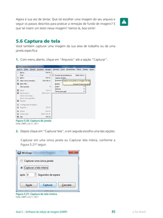 Agora é sua vez de tentar. Que tal escolher uma imagem do seu arquivo e
seguir os passos descritos para praticar a remoção de fundo de imagens? E
que tal inserir um texto nessa imagem? Vamos lá, boa sorte!
5.6 Captura de tela
Você também capturar uma imagem da sua área de trabalho ou de uma
janela específica:
1.	 Com menu aberto, clique em “Arquivos” até a opção “Capturar”.
Figura 5.20: Captura de janela
Fonte: GIMP v.2.6.11, 2011
2.	 Depois clique em “Capturar tela”, e em seguida escolha uma das opções:
Capturar em uma única janela ou Capturar tela inteira, conforme a
Figura 5.21ª seguir.
Figura 5.21: Captura de tela inteira
Fonte: GIMP v.2.6.11, 2011
e-Tec BrasilAula 5 – Software de edição de imagem (GIMP) 85
 