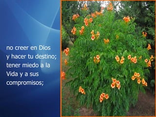 no creer en Dios  y hacer tu destino; tener miedo a la Vida y a sus compromisos; 