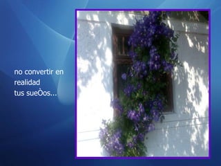 no convertir en realidad  tus sueños...  