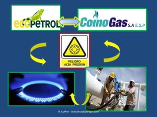 H. AMAYA tecnicohse@coinogas.com
 