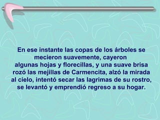 En ese instante las copas de los árboles se mecieron suavemente, cayeron  algunas hojas y florecillas, y una suave brisa rozó las mejillas de Carmencita, alzó la mirada al cielo, intentó secar las lagrimas de su rostro, se levantó y emprendió regreso a su hogar. 