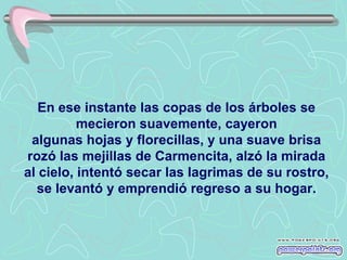 En ese instante las copas de los árboles se
          mecieron suavemente, cayeron
 algunas hojas y florecillas, y una suave brisa
rozó las mejillas de Carmencita, alzó la mirada
al cielo, intentó secar las lagrimas de su rostro,
  se levantó y emprendió regreso a su hogar.
 