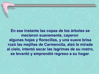 En ese instante las copas de los árboles se
         mecieron suavemente, cayeron
 algunas hojas y florecillas, y una suave brisa
rozó las mejillas de Carmencita, alzó la mirada
al cielo, intentó secar las lagrimas de su rostro,
  se levantó y emprendió regreso a su hogar.
 