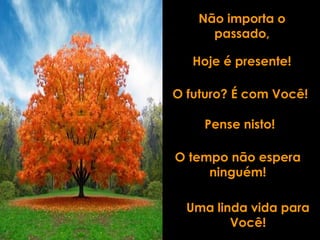Não importa o
      passado,

   Hoje é presente!

O futuro? É com Você!

    Pense nisto!

O tempo não espera
     ninguém!

  Uma linda vida para
         Você!
 