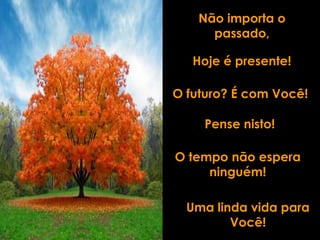 Não importa o
      passado,

   Hoje é presente!

O futuro? É com Você!

    Pense nisto!

O tempo não espera
     ninguém!

  Uma linda vida para
         Você!
 