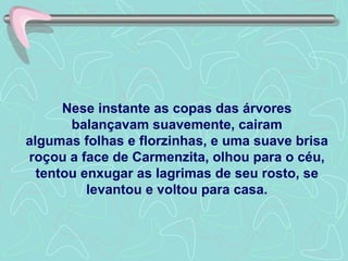 Nese instante as copas das árvores  balançavam suavemente, cairam  algumas folhas e florzinhas, e uma suave brisa roçou a face de Carmenzita, olhou para o céu, tentou enxugar as lagrimas de seu rosto, se levantou e voltou para casa. 