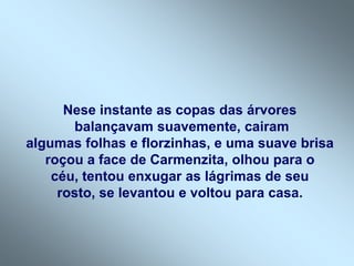 Nese instante as copas das árvores
       balançavam suavemente, cairam
algumas folhas e florzinhas, e uma suave brisa
   roçou a face de Carmenzita, olhou para o
    céu, tentou enxugar as lágrimas de seu
     rosto, se levantou e voltou para casa.
 