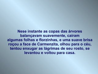Nese instante as copas das árvores  balançavam suavemente, cairam  algumas folhas e florzinhas, e uma suave brisa roçou a face de Carmenzita, olhou para o céu, tentou enxugar as lágrimas de seu rosto, se levantou e voltou para casa. 