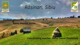 Rășinari, Sibiu
Student: Alexandra Chelariu
Adina Marina Sandu
Coordinating teacher: Mihai Daniel Frumușelu
 