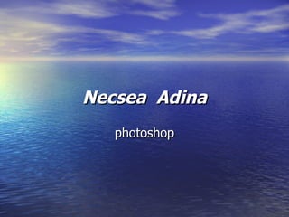 Necsea  Adina photoshop 