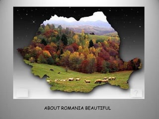 ABOUT ROMANIA BEAUTIFUL
 