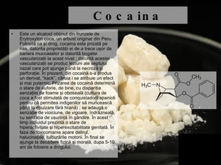 Cocaina Este un alcaloid obţinut din frunzele de Erytroxylon coca, un arbust originar din Peru. Folosită ca şi drog, cocaina este prizată pe nas, datorita proprietăţii ei de a trece uşor de bariera mucoaselor şi datorită bogatei vascularizaţii la acest nivel ; datorită acestei vascularizaţii se produc leziuni ale septului nazal care pot ajunge până la necroză şi perforaţie. În prezent, din cocaină s-a produs un derivat, “kack”, căruia i se atribuie un efect şi mai puternic. Prizarea de cocaină determină o stare de euforie, de bine, cu dispariţia senzaţiei de foame şi oboseală (cultura de coca a fost stimulată de conquistadorii spanioli pentru că permitea indigenilor să muncească până la epuizare fără hrană) ; se adaugă o senzaţie de vioiciune, de vigoare, îndrăzneală, cu senzaţia de uşurinţă în gândire. În acest timp individul prezintă o stare de hiperactivitate şi hiperexcitabilitate genitală. În faza de toxicomanie apare delirul, halucinaţiile, tulburările motorii. În final se ajunge la decădere fizică şi morală, dupa 5-10 ani de folosire a drogului. 