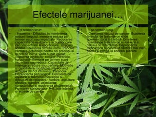 Efectele marijuanei… … Pe termen scurt · Insomnie · Dificultati in mentinerea notiunii timpului, memorie redusa pe termen scurt sau impartiala· Reducerea capacitatii de realizare a actiunilor care cer concentrare si coordonare,· Precum sofatul· Cresterea ritmului inimii· Pericole cardiace potentiale pentru cei predispusi la boli de inima· Gura si gat uscate· Scaderea inhibitiilor sociale· Paranoia, halucinatii· Memorie pe termen scurt impartiala sau redusa· Capacitate de intelegere redusa sau partiala· Motivatie si cunoastere modificate ingreunand achizitia de noi informatii· Paranoia· Dependenta psihologica· Deficiente de invatare si memorie, perceptie si dificultati de rationare,· Vorbire, ascultare efectiva, gandire, asimilarea cunostintelor si rezolvarea problemelor · Formarea conceptelor· Neliniste intensa si accese de panica …  pe termen lung · Cresterea riscului de cancer· Scaderea nivelului de testosteron si de spermatozoizi la barbati· Cresterea nivelului de testosteron la femei si a riscului de infertilitate· Dependenta psihologica necesitand cantitati mai mari pentru a ajunge la aceeasi placere   