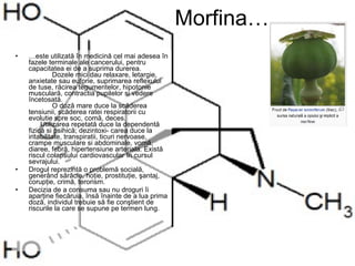 Morfina… … este utilizată în medicină cel mai adesea în fazele terminale ale cancerului, pentru capacitatea ei de a suprima durerea.    Dozele mici dau relaxare, letargie, anxietate sau euforie, suprimarea reflexului de tuse, răcirea tegumentelor, hipotonie musculară, contractia pupilelor si vedere încetosată.   O doză mare duce la scăderea tensiunii, scăderea ratei respiratorii cu evolutie spre soc, comă, deces.      Utilizarea repetată duce la dependentă fizică si psihică; dezintoxi- carea duce la iritabilitate, transpiratii, ticuri nervoase, crampe musculare si abdominale, vomă, diaree, febră, hipertensiune arteriala. Există riscul colapsului cardiovascular în cursul sevrajului. Drogul reprezintă o problemă socială, generând sărăcie, hoţie, prostituţie, şantaj, corupţie, crimă, terorism. Decizia de a consuma sau nu droguri îi aparţine fiecăruia, însă înainte de a lua prima doză, individul trebuie să fie conştient de riscurile la care se supune pe termen lung. 