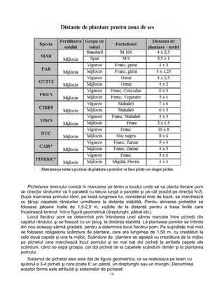 Pichetarea terenului constă în marcarea pe teren a locului unde se va planta fiecare pom
iar direcţia rândurilor va fi paralelă cu latura lungă a parcelei şi pe cât posibil pe direcţia N-S.
După marcarea primului rând, pe toată lungimea lui, considerat linie de bază, se marchează
cu ţăruşi capetele rândurilor următoare la distanţa stabilită. Pentru alinierea picheţilor se
folosesc jaloane înalte de 1,5-2,0 m, vizibile de la distanţă pentru a trasa liniile care
încadrează terenul într-o figură geometrică (dreptunghi, pătrat etc).
    Locul fiecărui pom se determină prin întinderea unei sârme marcate între picheţii din
capătul rândului, şi se fixează cu un ţăruş, la distanţa stabilită. La plantarea pomilor se întinde
din nou aceeaşi sârmă gradată, pentru a determina locul fiecărui pom. Pe suprafeţe mai mici
se folosesc obligatoriu scândura de plantare, care are lungimea de 1,50 m, cu crestături la
cele două capete şi una la mijloc. Scândura de plantare se aşează cu crestătura de la mijloc
pe pichetul care marchează locul pomului şi se mai bat doi picheţi la ambele capete ale
scândurii, când se sapă groapa, cei doi picheţi de la capetele scândurii rămân şi la plantarea
pomului .
    Sistemul de pichetat ales este dat de figura geometrica, ce se realizeaza pe teren cu
ajutorul a 3-4 picheti şi care poate fi: un pătrat, un dreptunghi sau un triunghi. Denumirea
acestor forme este atribuită şi sistemelor de pichetat:
                                                16
 