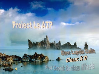 Proiect La ATP Elev: Lupoiu Calin Clasa: X D Prof Coord: Bardasu Mihaela 