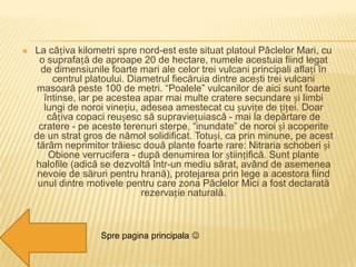    La câțiva kilometri spre nord-est este situat platoul Pâclelor Mari, cu
      o suprafață de aproape 20 de hectare, numele acestuia fiind legat
      de dimensiunile foarte mari ale celor trei vulcani principali aflați în
         centrul platoului. Diametrul fiecăruia dintre acești trei vulcani
     masoară peste 100 de metri. “Poalele” vulcanilor de aici sunt foarte
       întinse, iar pe acestea apar mai multe cratere secundare și limbi
       lungi de noroi vinețiu, adesea amestecat cu șuvițe de țiței. Doar
        câțiva copaci reușesc să supraviețuiască - mai la depărtare de
      cratere - pe aceste terenuri sterpe, “inundate” de noroi și acoperite
    de un strat gros de nămol solidificat. Totuși, ca prin minune, pe acest
     tărâm neprimitor trăiesc două plante foarte rare: Nitraria schoberi și
        Obione verrucifera - după denumirea lor științifică. Sunt plante
    halofile (adică se dezvoltă într-un mediu sărat, având de asemenea
     nevoie de săruri pentru hrană), protejarea prin lege a acestora fiind
     unul dintre motivele pentru care zona Pâclelor Mici a fost declarată
                               rezervație naturală.



                    Spre pagina principala 
 