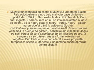     Muzeul funcționează ca secție a Muzeului Județean Buzău.
        Fala colecției (una dintre cele mai valoroase din lume),
      o piatră de 1,857 kg. Deși rosturile de chihlimbar de la Colți
     sunt înguste și sărace, nicăieri nu se întălnesc atâtea nuanțe
     de culori... de la negru opac la negru - verde, negru - galben,
                maron sidefat până la galben strălucitor.
     Chihlimbarul (sau ambra) este o rășină fosilă divers colorată
    (mai ales în nuanțe de galben), provenită din mai multe specii
      de pini; vârsta sa este estimată la 50-60 milioane de ani. În
           structura sa se găsesc adesea fosile animale sau
       vegetale. Prin tradiție, este considerat a avea proprietăți
      terapeutice speciale, dar este și un material foarte apreciat
                              pentru bijuterii.
 