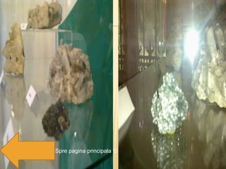 Spre pagina principala 
 