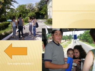 Spre pagina principala 
 