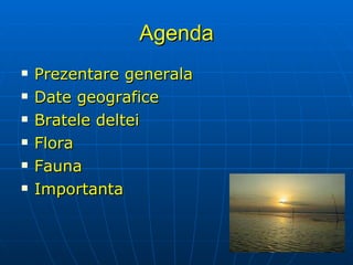 Agenda Prezentare generala Date geografice Bratele deltei Flora Fauna Importanta 