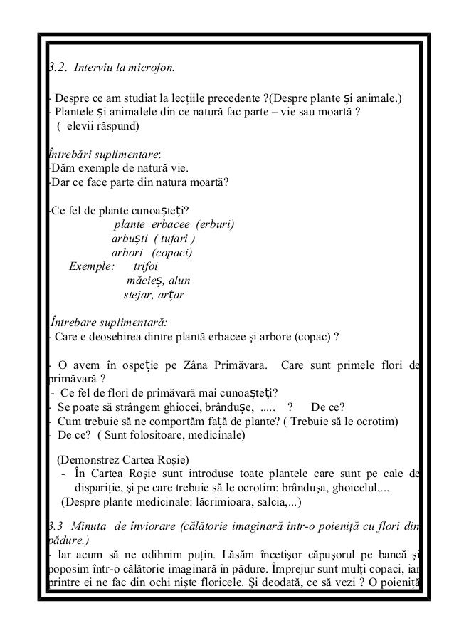 Proiect Didactic
