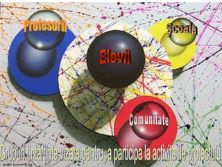 Grupuri ţintă/ţinte vizate pentru  a participa la activitatile proiectului Elevii Profesorii Şcoala Comunitate 