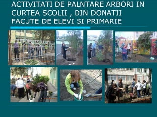ACTIVITATI DE PALNTARE ARBORI IN CURTEA SCOLII , DIN DONATII FACUTE DE ELEVI SI PRIMARIE 