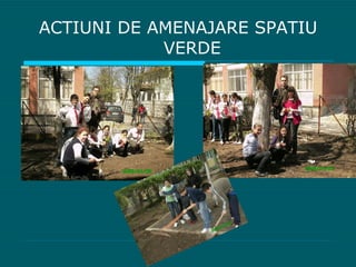 ACTIUNI DE AMENAJARE SPATIU VERDE 
