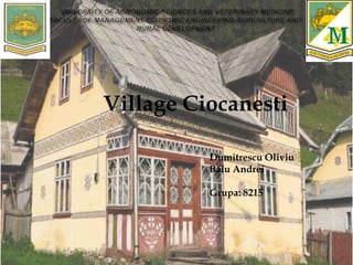 Dumitrescu Oliviu
Bălu Andrei
Grupa: 8215
Village Ciocanesti
 