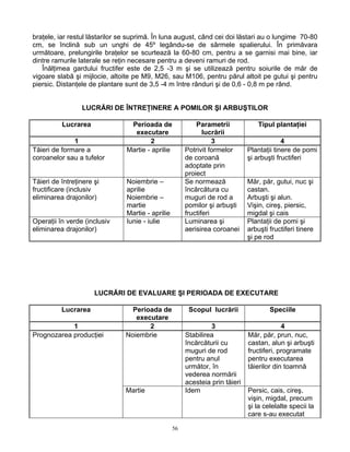 braţele, iar restul lăstarilor se suprimă. În luna august, când cei doi lăstari au o lungime 70-80
cm, se înclină sub un unghi de 45º legându-se de sârmele spalierului. În primăvara
următoare, prelungirile braţelor se scurtează la 60-80 cm, pentru a se garnisi mai bine, iar
dintre ramurile laterale se reţin necesare pentru a deveni ramuri de rod.
   Înălţimea gardului fructifer este de 2,5 -3 m şi se utilizează pentru soiurile de măr de
vigoare slabă şi mijlocie, altoite pe M9, M26, sau M106, pentru părul altoit pe gutui şi pentru
piersic. Distanţele de plantare sunt de 3,5 -4 m între rânduri şi de 0,6 - 0,8 m pe rând.


                 LUCRĂRI DE ÎNTREŢINERE A POMILOR ŞI ARBUŞTILOR

          Lucrarea               Perioada de                Parametrii             Tipul plantaţiei
                                  executare                    lucrării
              1                         2                          3                        4
Tăieri de formare a             Martie - aprilie        Potrivit formelor      Plantaţii tinere de pomi
coroanelor sau a tufelor                                de coroană             şi arbuşti fructiferi
                                                        adoptate prin
                                                        proiect
Tăieri de întreţinere şi        Noiembrie –             Se normează            Măr, păr, gutui, nuc şi
fructificare (inclusiv          aprilie                 încărcătura cu         castan.
eliminarea drajonilor)          Noiembrie –             muguri de rod a        Arbuşti şi alun.
                                martie                  pomilor şi arbuşti     Vişin, cireş, piersic,
                                Martie - aprilie        fructiferi             migdal şi cais
Operaţii în verde (inclusiv     Iunie - iulie           Luminarea şi           Plantaţii de pomi şi
eliminarea drajonilor)                                  aerisirea coroanei     arbuşti fructiferi tinere
                                                                               şi pe rod




                      LUCRĂRI DE EVALUARE ŞI PERIOADA DE EXECUTARE

          Lucrarea                Perioada de            Scopul lucrării               Speciile
                                   executare
            1                          2                         3                          4
Prognozarea producţiei          Noiembrie               Stabilirea             Măr, păr, prun, nuc,
                                                        încărcăturii cu        castan, alun şi arbuşti
                                                        muguri de rod          fructiferi, programate
                                                        pentru anul            pentru executarea
                                                        următor, în            tăierilor din toamnă
                                                        vederea normării
                                                        acesteia prin tăieri
                                Martie                  Idem                   Persic, cais, cireş,
                                                                               vişin, migdal, precum
                                                                               şi la celelalte specii la
                                                                               care s-au executat

                                                   56
 