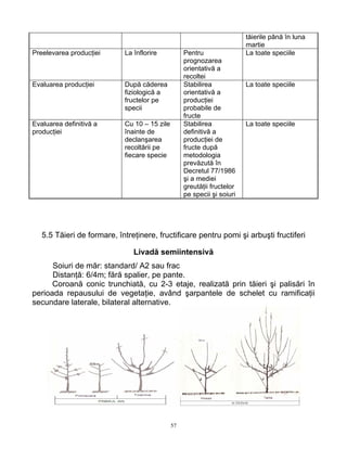 tăierile până în luna
                                                                         martie
Preelevarea producţiei      La înflorire           Pentru                La toate speciile
                                                   prognozarea
                                                   orientativă a
                                                   recoltei
Evaluarea producţiei        După căderea           Stabilirea            La toate speciile
                            fiziologică a          orientativă a
                            fructelor pe           producţiei
                            specii                 probabile de
                                                   fructe
Evaluarea definitivă a      Cu 10 – 15 zile        Stabilirea            La toate speciile
producţiei                  înainte de             definitivă a
                            declanşarea            producţiei de
                            recoltării pe          fructe după
                            fiecare specie         metodologia
                                                   prevăzută în
                                                   Decretul 77/1986
                                                   şi a mediei
                                                   greutăţii fructelor
                                                   pe specii şi soiuri




   5.5 Tăieri de formare, întreţinere, fructificare pentru pomi şi arbuşti fructiferi

                               Livadă semiintensivă
      Soiuri de măr: standard/ A2 sau frac
      Distanţă: 6/4m; fără spalier, pe pante.
      Coroană conic trunchiată, cu 2-3 etaje, realizată prin tăieri şi palisări în
perioada repausului de vegetaţie, având şarpantele de schelet cu ramificaţii
secundare laterale, bilateral alternative.




                                              57
 