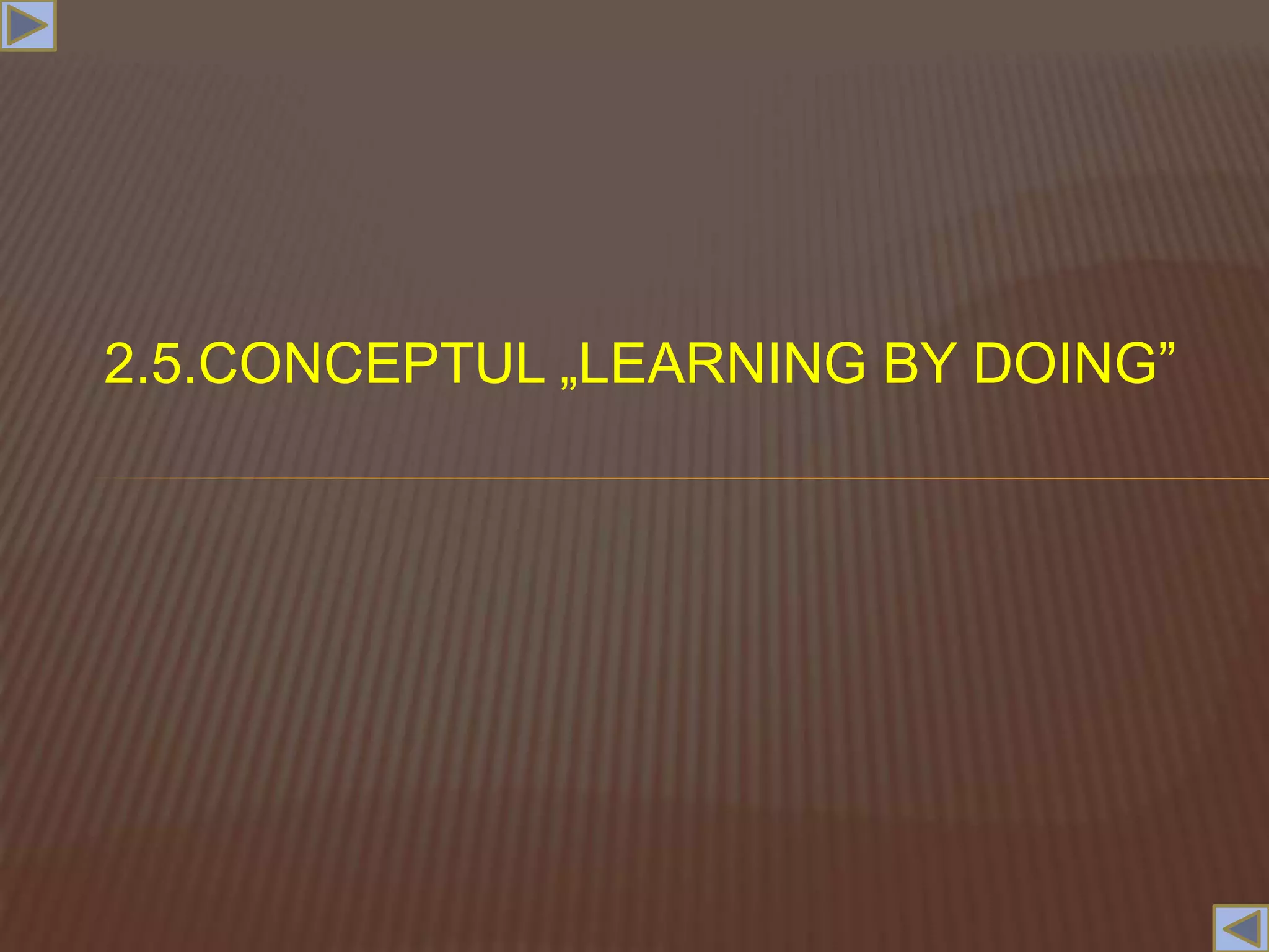 2.5.CONCEPTUL „LEARNING BY DOING”
 