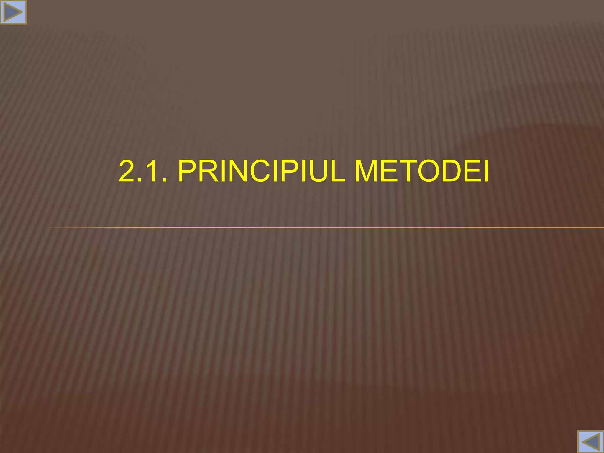 2.1. PRINCIPIUL METODEI
 