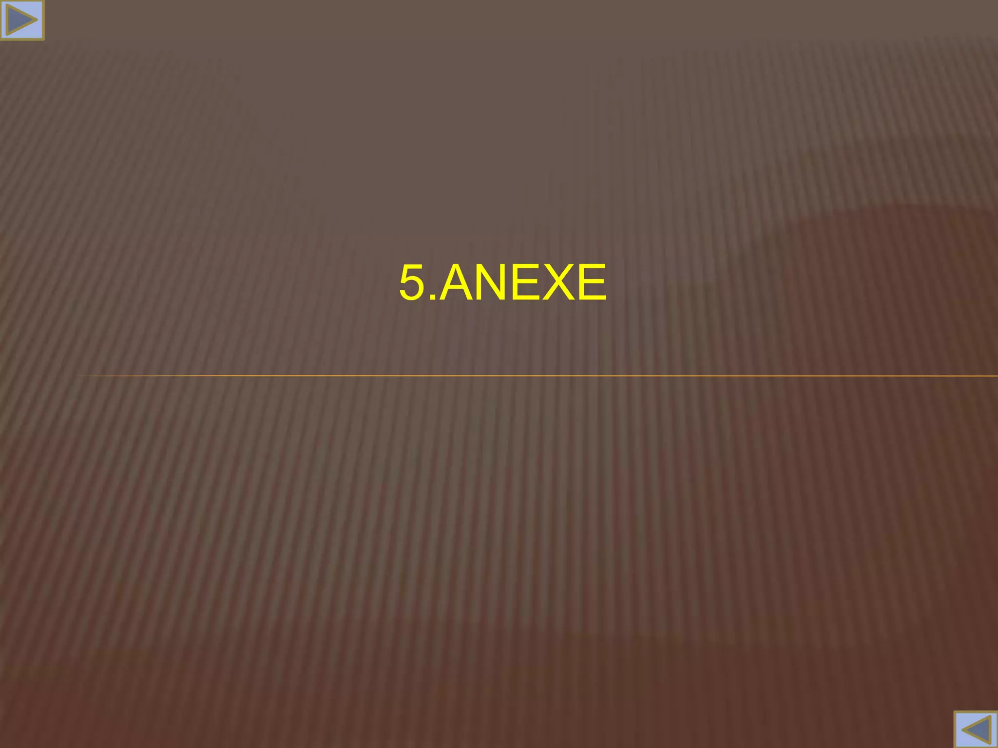 5.ANEXE
 