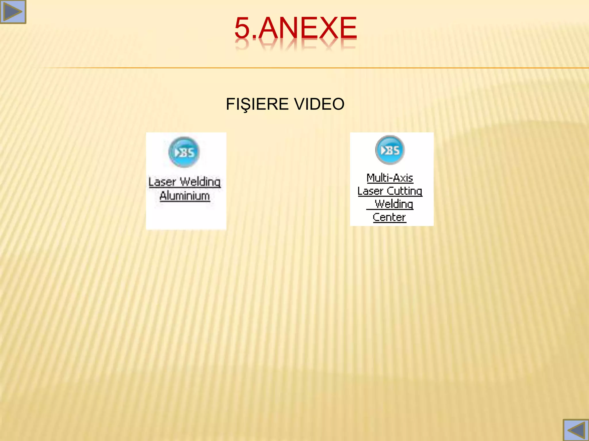 5.ANEXE
FIŞIERE VIDEO
 