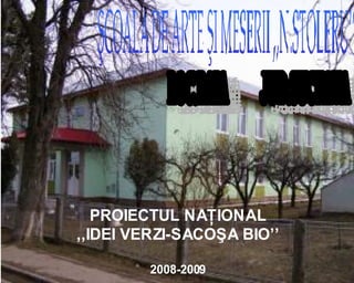 PROIECTUL NAŢIONAL
,,IDEI VERZI-SACOŞA BIO’’

         2008-2009
 