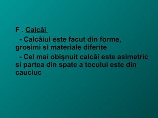 Proiect incaltaminte | PPT